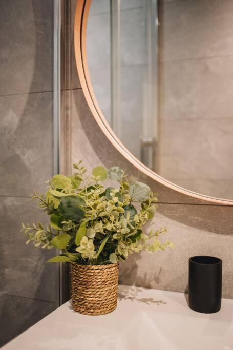 La Vie En Rose - Luxe, Calme & Hypercentre - 3* Apartment อานซี ภายนอก รูปภาพ