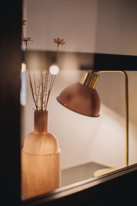 La Vie En Rose - Luxe, Calme & Hypercentre - 3* Apartment อานซี ภายนอก รูปภาพ