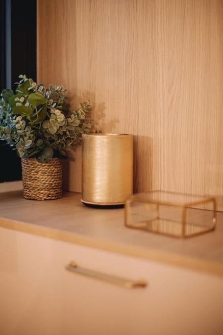 La Vie En Rose - Luxe, Calme & Hypercentre - 3* Apartment อานซี ภายนอก รูปภาพ